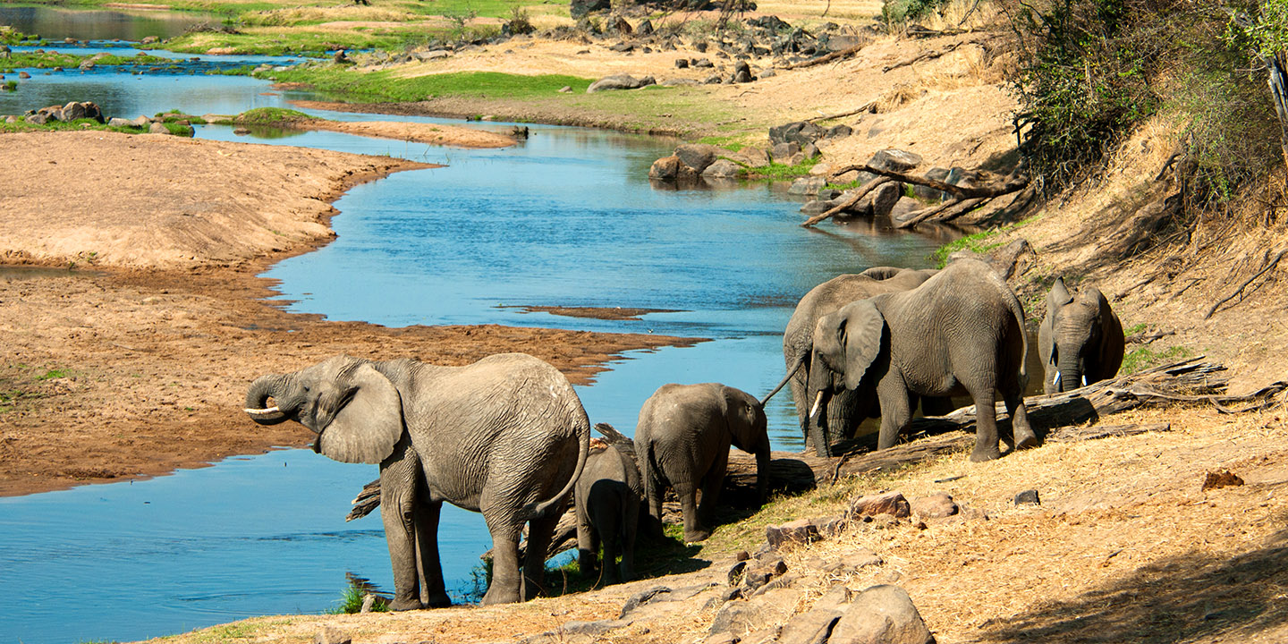 ruaha national park